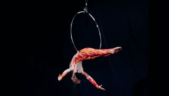 Цирк-шапито «Circusland». Империя хищников, Павловский Посад