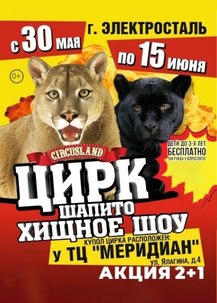 Цирк-шапито «Circusland». Хищное шоу, Электросталь