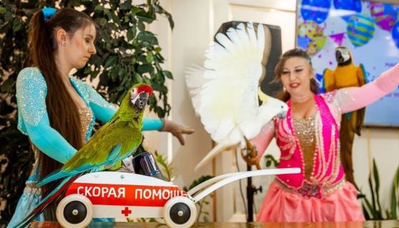 Цирковое шоу «Знакомьтесь, цирк!», Протвино