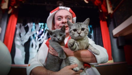 Дмитрий Куклачёв. Котобум, Пушкино