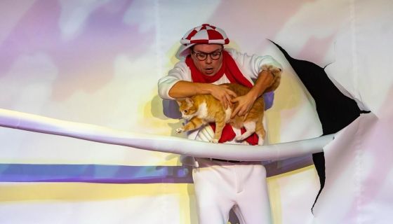 Дмитрий Куклачёв. Котобум, Электросталь