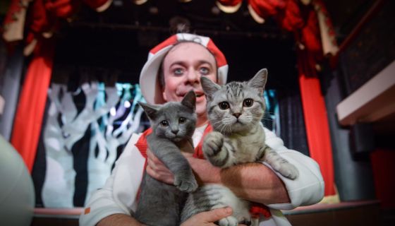 Дмитрий Куклачёв. Котобум, Электросталь