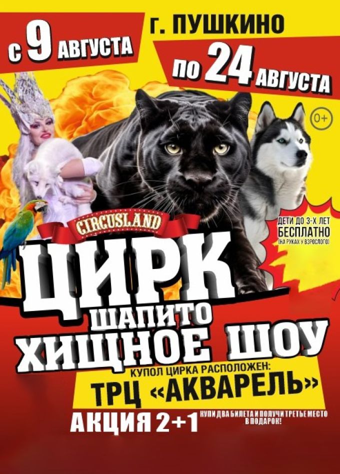 Цирк-шапито «Circusland». Хищное шоу, Пушкино