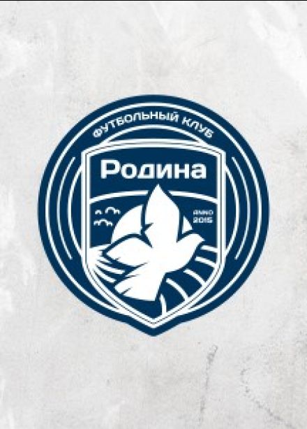 Футбол ФК «Родина» — ФК «Арсенал», Химки
