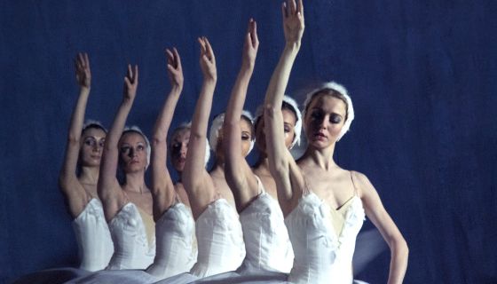 Балет «Лебединое озеро», Серпухов