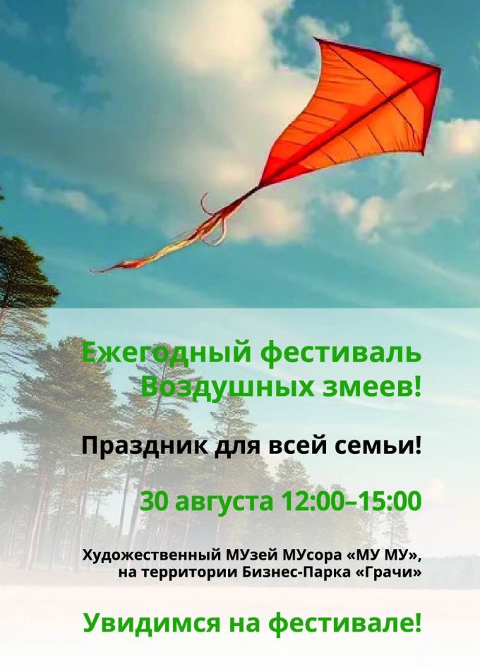 Фестиваль воздушных змеев