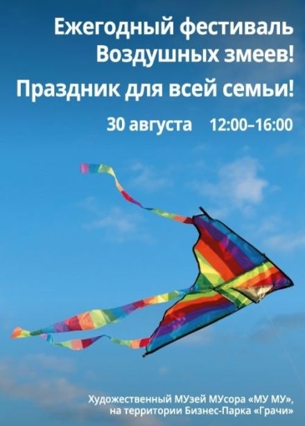 Фестиваль воздушных змеев