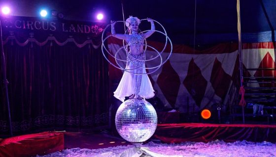 Цирк-шапито «Circusland». Шоу «Хищник и принцесса цирка», Воскресенск