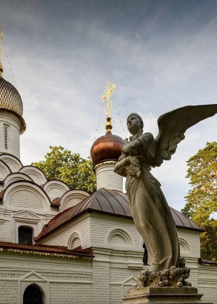 Музыка для глаз. Секреты старого мастера