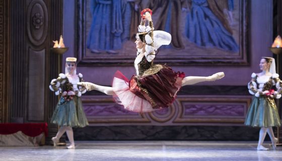 Балет «Лебединое озеро», Раменское