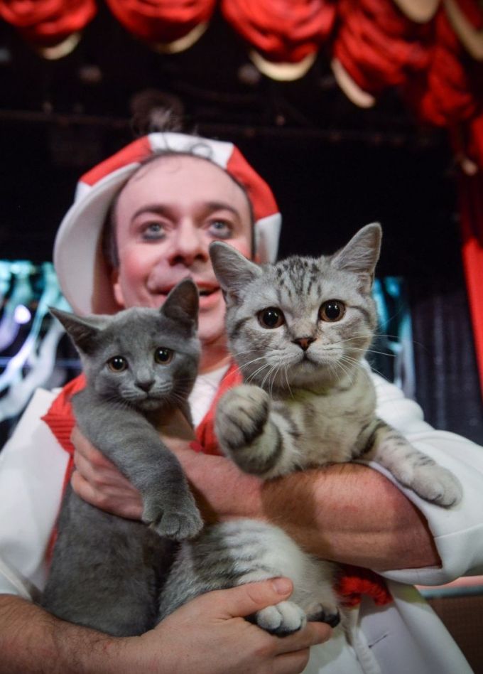 Дмитрий Куклачёв. Котобум, Королёв