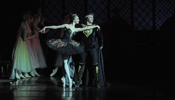 Балет «Лебединое озеро», Электросталь