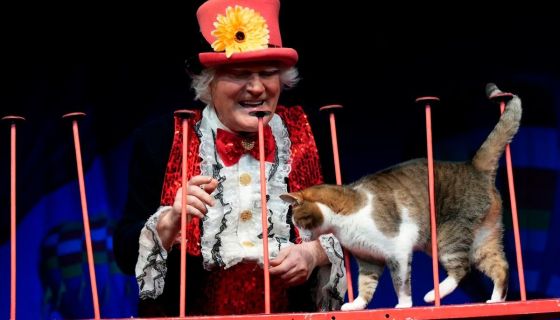 Театр Юрия Куклачёва. Коты спасают мир, Балашиха