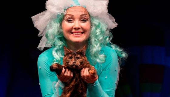 Театр Юрия Куклачёва. Коты спасают мир, Балашиха