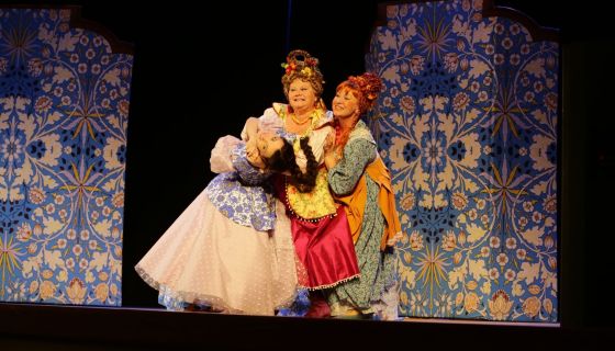 Спектакль «Не в свои сани не садись», Серпухов