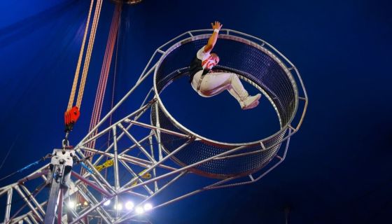 Цирк-шапито братьев Мансуровых. Колумбийский форсаж, Пушкино