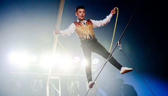 Цирк-шапито братьев Мансуровых. Колумбийский форсаж, Пушкино