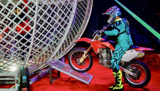 Цирк-шапито братьев Мансуровых. Колумбийский форсаж, Пушкино