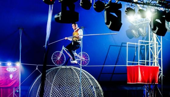 Цирк-шапито братьев Мансуровых. Колумбийский форсаж, Пушкино