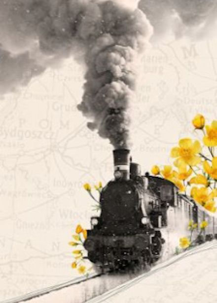 Поезд жизни