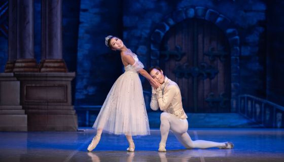 Балет «Золушка», Домодедово