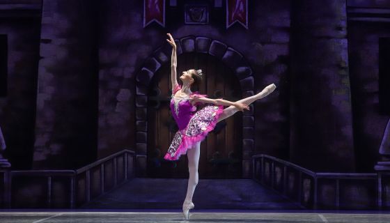 Балет «Золушка», Домодедово