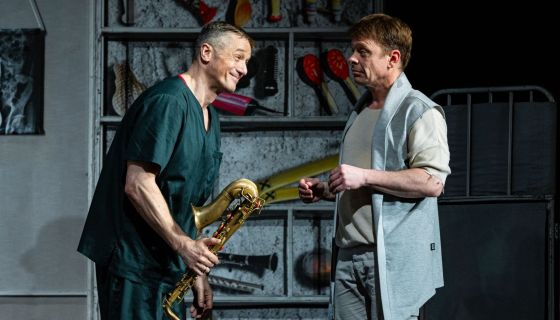 Спектакль «Доктор знает всё», Коломна