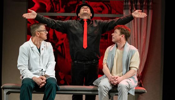 Спектакль «Доктор знает всё», Коломна