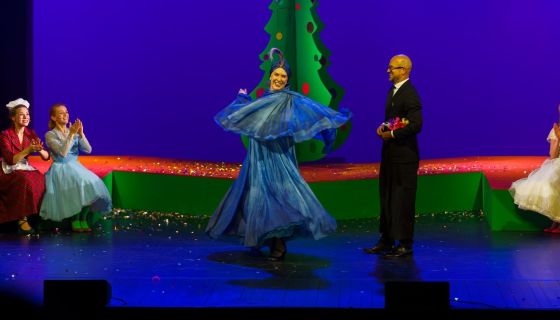 Мюзикл «Карнавальная ночь», Серпухов