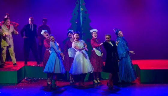 Мюзикл «Карнавальная ночь», Серпухов