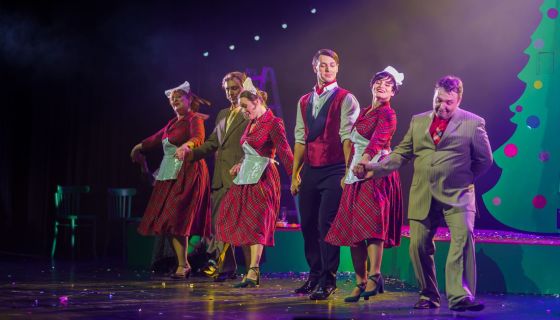 Мюзикл «Карнавальная ночь», Серпухов