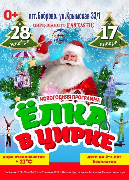 Цирк-шапито «FantastiC». Шоу «Ёлка в цирке», Боброво