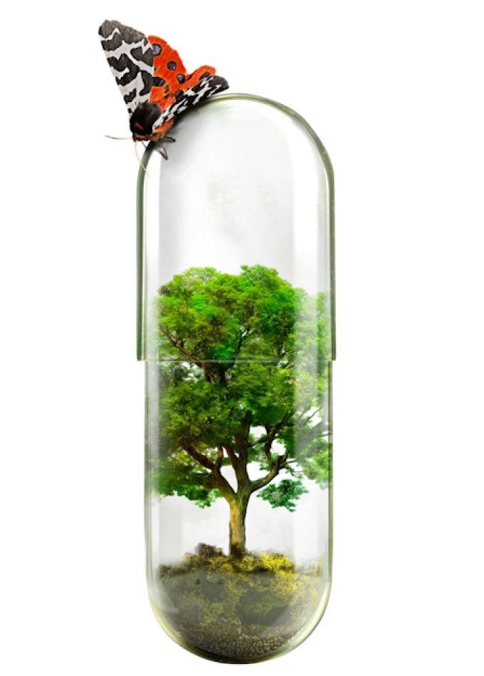 4 дня в 25 кадре