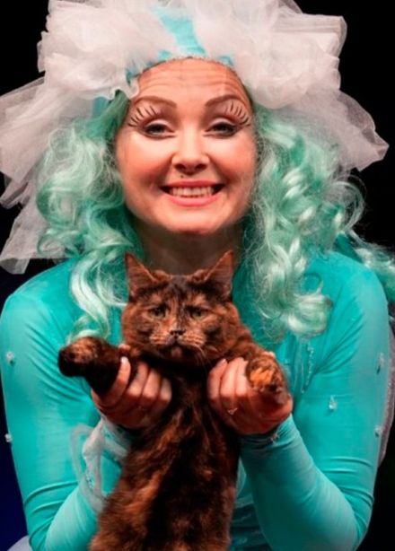 Театр кошек Куклачёва. Коты спасают мир, Ступино