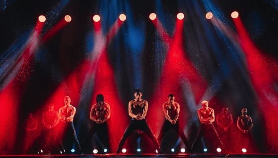 Шоу под дождём V. Признание в любви, Пушкино