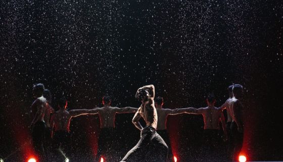 Шоу под дождём V. Признание в любви, Пушкино