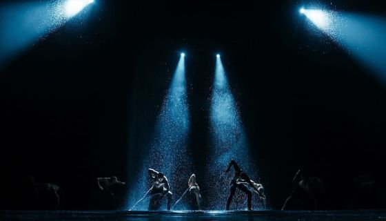 Шоу под дождём V. Признание в любви, Пушкино