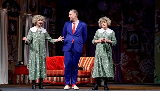 Спектакль «Семейный переполох», Электросталь