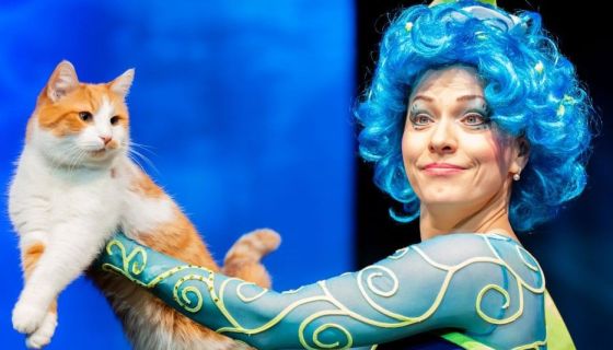 Театр кошек Куклачёва. Коты спасают мир, Наро-Фоминск