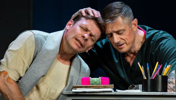 Спектакль «Доктор знает всё», Люберцы