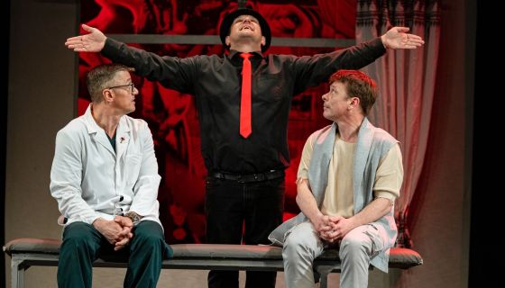 Спектакль «Доктор знает всё», Люберцы