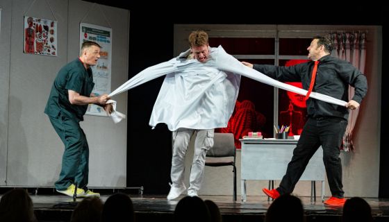 Спектакль «Доктор знает всё», Люберцы