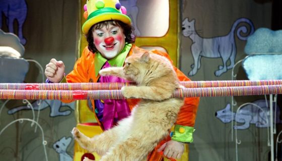 Театр кошек Куклачёва. Волшебные кошки, Подольск