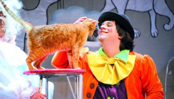 Театр кошек Куклачёва. Волшебные кошки, Подольск