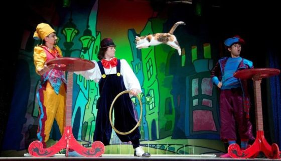 Театр кошек Куклачёва. Волшебные кошки, Подольск