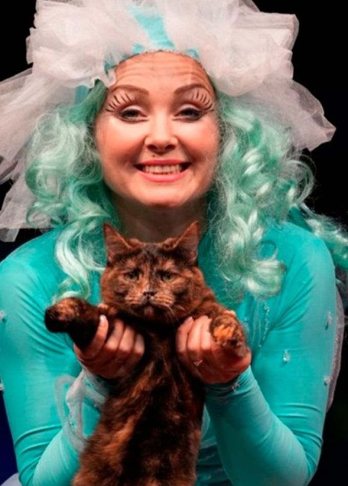 Театр кошек Куклачёва. Коты спасают мир, Фрязино