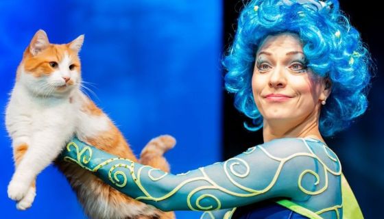 Театр кошек Куклачёва. Коты спасают мир, Фрязино