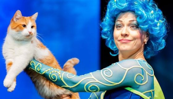 Театр кошек Куклачёва. Коты спасают мир, Лобня