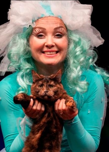 Театр кошек Куклачёва. Коты спасают мир, Ершово