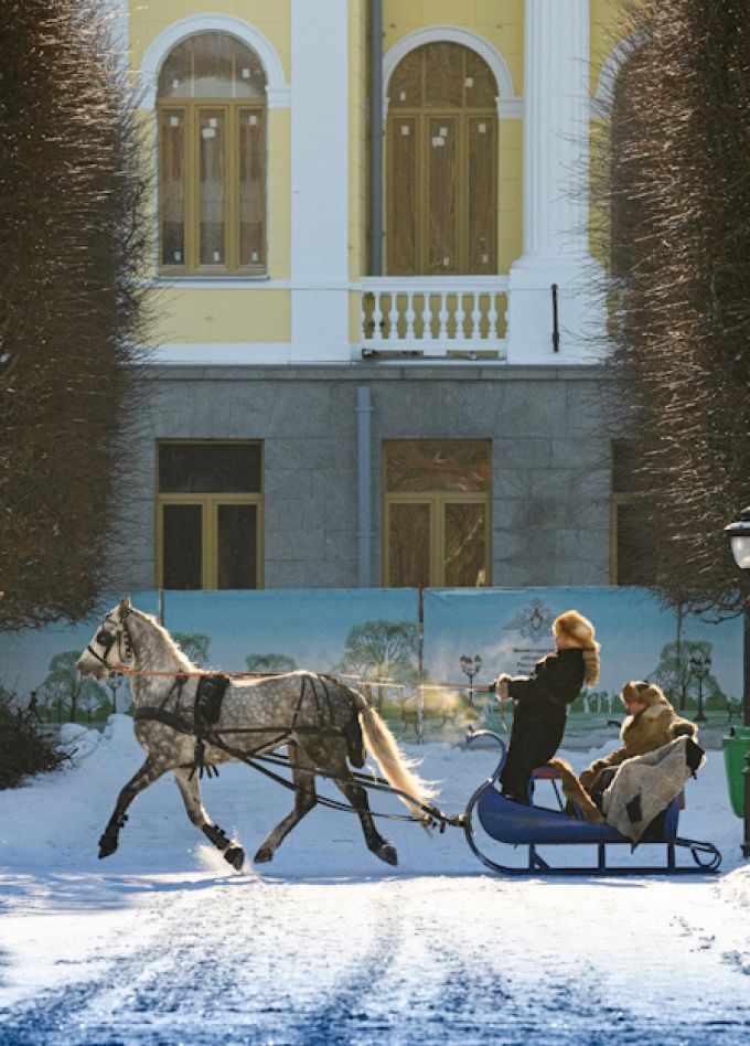 Много разных небылиц про зверей и птиц